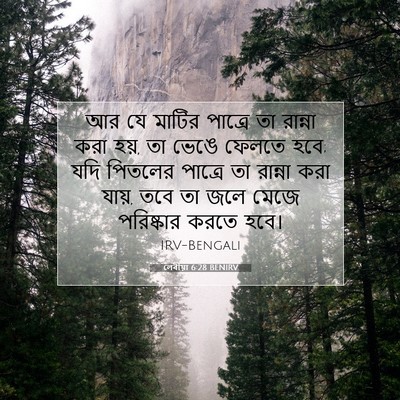Picture 07 - লেবীয়া 6:28 BENIRV - আর যে মাটির পাত্রে - Bible Verse Picture