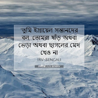Picture 07 - লেবীয়া 7:23 BENIRV - “তুমি ইস্রায়েল - Bible Verse Picture