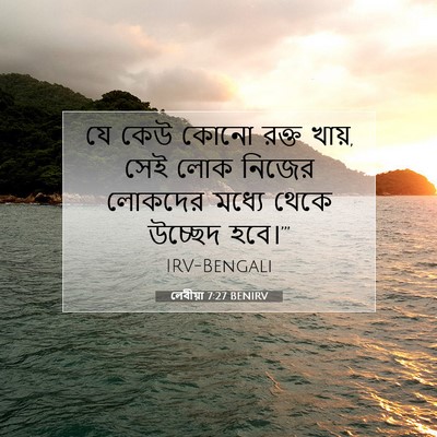 Picture 07 - লেবীয়া 7:27 BENIRV - যে কেউ কোনো রক্ত - Bible Verse Picture