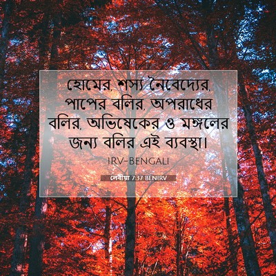 Picture 07 - লেবীয়া 7:37 BENIRV - হোমের, শস্য - Bible Verse Picture
