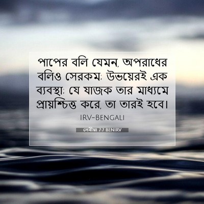Picture 07 - লেবীয়া 7:7 BENIRV - পাপের বলি যেমন, - Bible Verse Picture