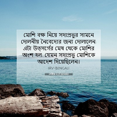 Picture 07 - লেবীয়া 8:29 BENIRV - মোশি বক্ষ নিয়ে - Bible Verse Picture