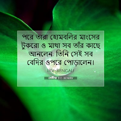 Picture 07 - লেবীয়া 9:13 BENIRV - পরে তারা হোমবলির - Bible Verse Picture