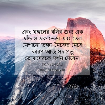 Picture 07 - লেবীয়া 9:4 BENIRV - এবং মঙ্গলের বলির - Bible Verse Picture