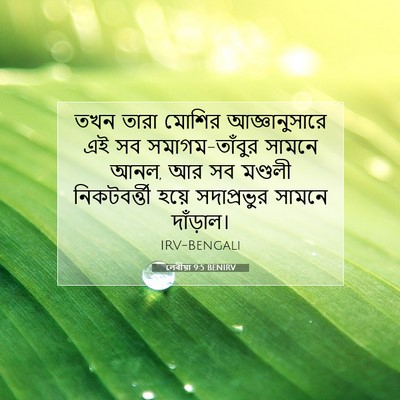 Picture 07 - লেবীয়া 9:5 BENIRV - তখন তারা মোশির - Bible Verse Picture