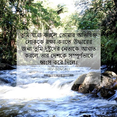 Picture 07 - হবক্কুক 3:13 BENIRV - তুমি যাত্রা করলে, - Bible Verse Picture