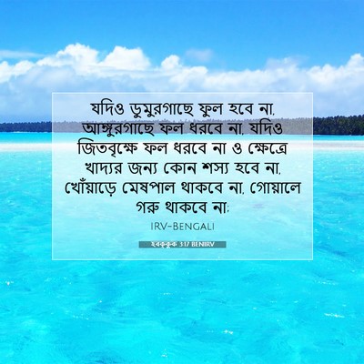 Picture 07 - হবক্কুক 3:17 BENIRV - যদিও ডুমুরগাছে - Bible Verse Picture