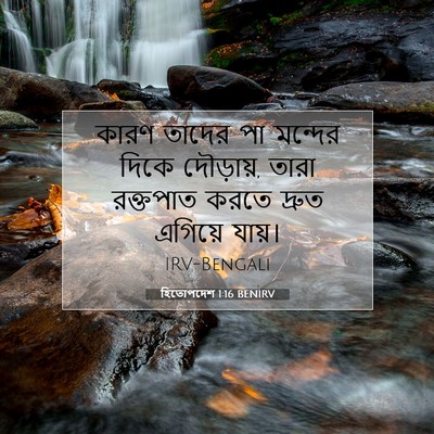 Picture 07 - হিতোপদেশ 1:16 BENIRV - কারণ তাদের পা - Bible Verse Picture