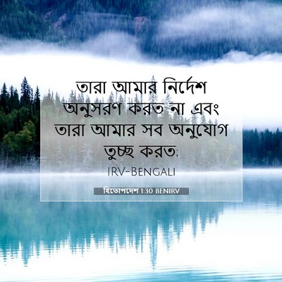 Picture 07 - হিতোপদেশ 1:30 BENIRV - তারা আমার নির্দেশ - Bible Verse Picture