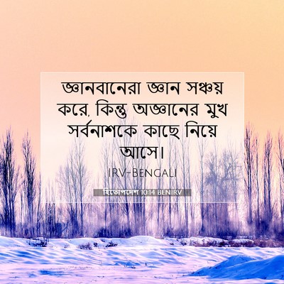 Picture 07 - হিতোপদেশ 10:14 BENIRV - জ্ঞানবানেরা জ্ঞান - Bible Verse Picture