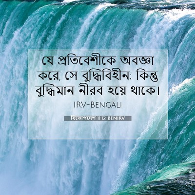 Picture 07 - হিতোপদেশ 11:12 BENIRV - যে প্রতিবেশীকে - Bible Verse Picture