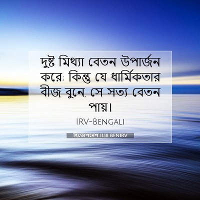 Picture 07 - হিতোপদেশ 11:18 BENIRV - দুষ্ট মিথ্যা বেতন - Bible Verse Picture
