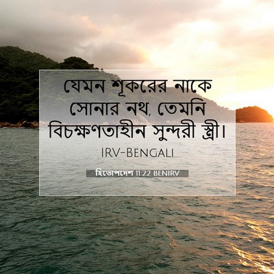 Picture 07 - হিতোপদেশ 11:22 BENIRV - যেমন শূকরের নাকে - Bible Verse Picture