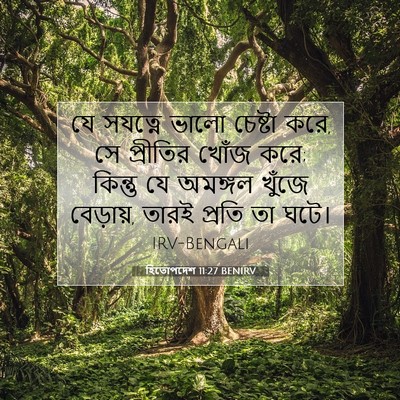 Picture 07 - হিতোপদেশ 11:27 BENIRV - যে সযত্নে ভালো - Bible Verse Picture