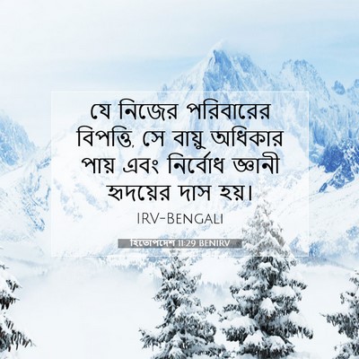 Picture 07 - হিতোপদেশ 11:29 BENIRV - যে নিজের পরিবারের - Bible Verse Picture