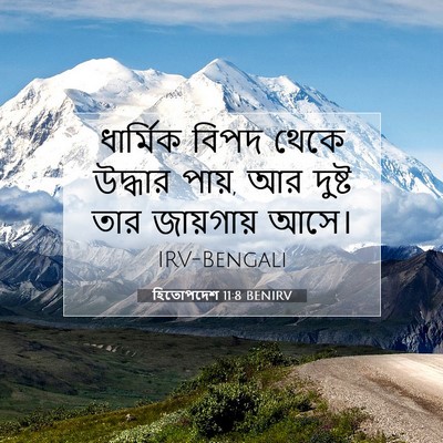 Picture 07 - হিতোপদেশ 11:8 BENIRV - ধার্মিক বিপদ থেকে - Bible Verse Picture