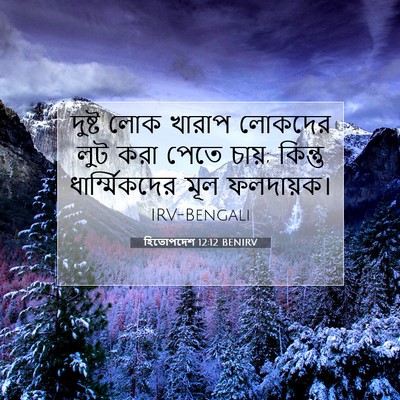 Picture 07 - হিতোপদেশ 12:12 BENIRV - দুষ্ট লোক খারাপ - Bible Verse Picture