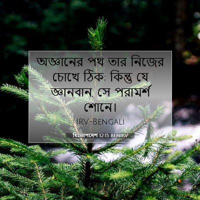 Picture 07 - হিতোপদেশ 12:15 BENIRV - অজ্ঞানের পথ তার - Bible Verse Picture