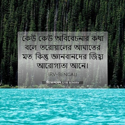 Picture 07 - হিতোপদেশ 12:18 BENIRV - কেউ কেউ অবিবেচনার - Bible Verse Picture