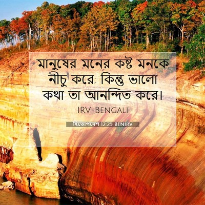 Picture 07 - হিতোপদেশ 12:25 BENIRV - মানুষের মনের কষ্ট - Bible Verse Picture