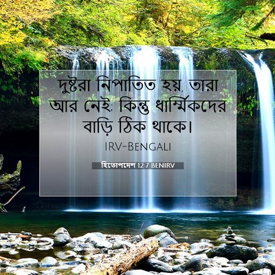 Picture 07 - হিতোপদেশ 12:7 BENIRV - দুষ্টরা নিপাতিত - Bible Verse Picture