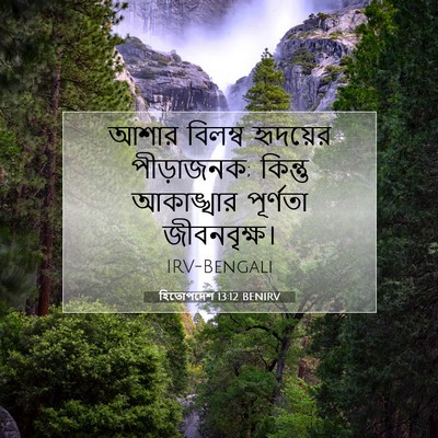 Picture 07 - হিতোপদেশ 13:12 BENIRV - আশার বিলম্ব - Bible Verse Picture