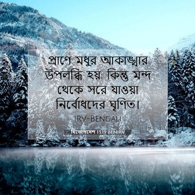 Picture 07 - হিতোপদেশ 13:19 BENIRV - প্রাণে মধুর - Bible Verse Picture