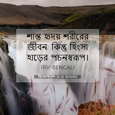 Picture 07 - হিতোপদেশ 14:30 BENIRV - শান্ত হৃদয় - Bible Verse Picture