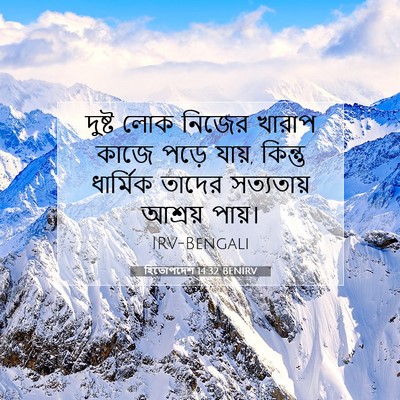 Picture 07 - হিতোপদেশ 14:32 BENIRV - দুষ্ট লোক নিজের - Bible Verse Picture