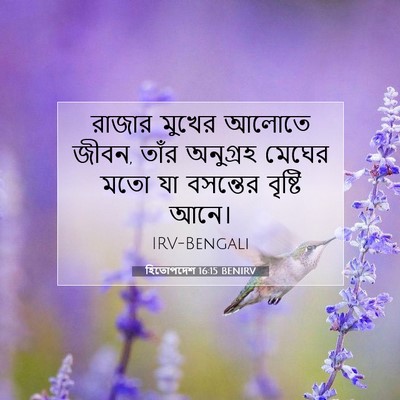 Picture 07 - হিতোপদেশ 16:15 BENIRV - রাজার মুখের আলোতে - Bible Verse Picture