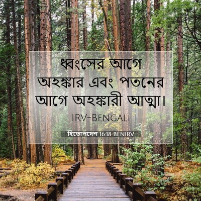 Picture 07 - হিতোপদেশ 16:18 BENIRV - ধ্বংসের আগে - Bible Verse Picture