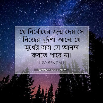 Picture 07 - হিতোপদেশ 17:21 BENIRV - যে নির্বোধের জন্ম - Bible Verse Picture