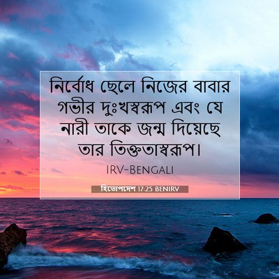 Picture 07 - হিতোপদেশ 17:25 BENIRV - নির্বোধ ছেলে - Bible Verse Picture