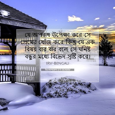 Picture 07 - হিতোপদেশ 17:9 BENIRV - যে অপরাধ উপেক্ষা - Bible Verse Picture