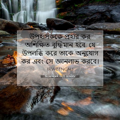 Picture 07 - হিতোপদেশ 19:25 BENIRV - উপহাসককে প্রহার - Bible Verse Picture