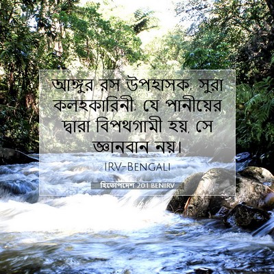 Picture 07 - হিতোপদেশ 20:1 BENIRV - আঙ্গুর রস উপহাসক; - Bible Verse Picture