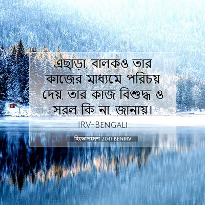 Picture 07 - হিতোপদেশ 20:11 BENIRV - এছাড়া, বালকও তার - Bible Verse Picture