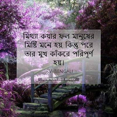 Picture 07 - হিতোপদেশ 20:17 BENIRV - মিথ্যা কথার ফল - Bible Verse Picture