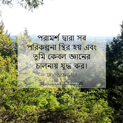Picture 07 - হিতোপদেশ 20:18 BENIRV - পরামর্শ দ্বারা সব - Bible Verse Picture
