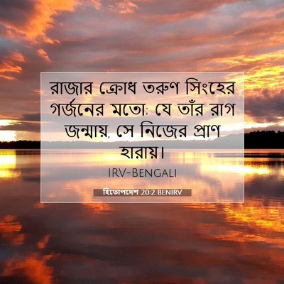 Picture 07 - হিতোপদেশ 20:2 BENIRV - রাজার ক্রোধ তরুণ - Bible Verse Picture