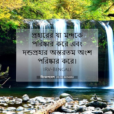 Picture 07 - হিতোপদেশ 20:30 BENIRV - প্রহারের যা - Bible Verse Picture