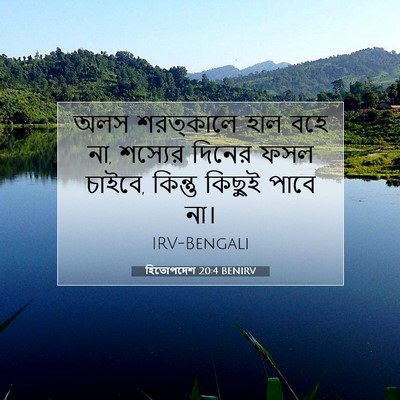 Picture 07 - হিতোপদেশ 20:4 BENIRV - অলস শরত্কালে হাল - Bible Verse Picture