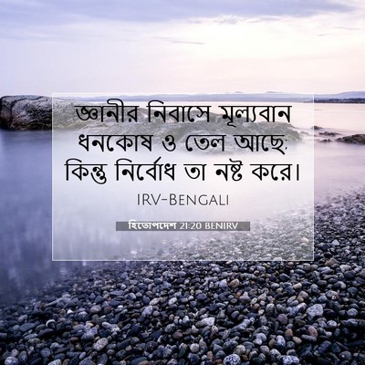Picture 07 - হিতোপদেশ 21:20 BENIRV - জ্ঞানীর নিবাসে - Bible Verse Picture
