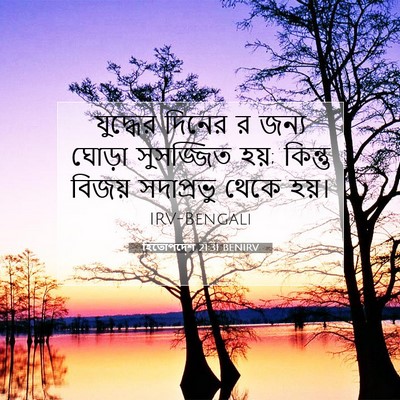 Picture 07 - হিতোপদেশ 21:31 BENIRV - যুদ্ধের দিনের র - Bible Verse Picture
