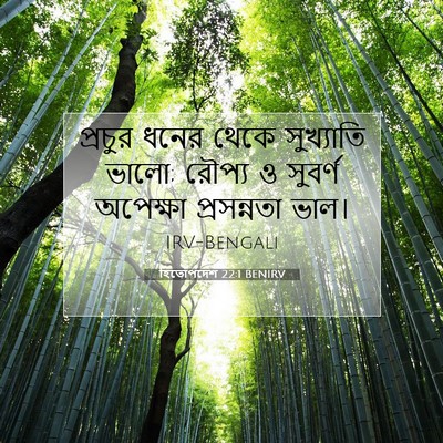 Picture 07 - হিতোপদেশ 22:1 BENIRV - প্রচুর ধনের থেকে - Bible Verse Picture