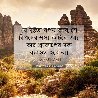 Picture 07 - হিতোপদেশ 22:8 BENIRV - যে দুষ্টতা বপন করে, - Bible Verse Picture