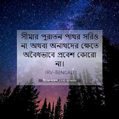 Picture 07 - হিতোপদেশ 23:10 BENIRV - সীমার পুরাতন পাথর - Bible Verse Picture