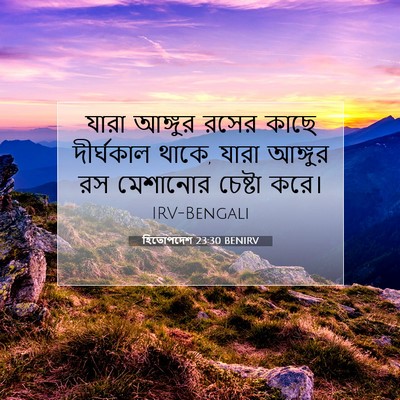 Picture 07 - হিতোপদেশ 23:30 BENIRV - যারা আঙ্গুর রসের - Bible Verse Picture