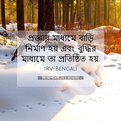 Picture 07 - হিতোপদেশ 24:3 BENIRV - প্রজ্ঞার মাধ্যমে - Bible Verse Picture