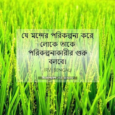 Picture 07 - হিতোপদেশ 24:8 BENIRV - যে মন্দের - Bible Verse Picture